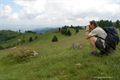 On mountain trails to Răşinari