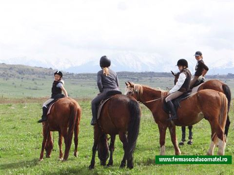 excursie-calare-la-ferma