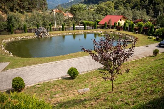 riu-sadului-albota -resize-5