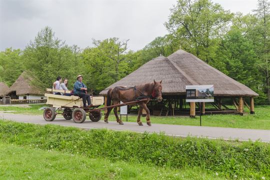 muzeul-astra sibiu-c-rebeka-berneticr