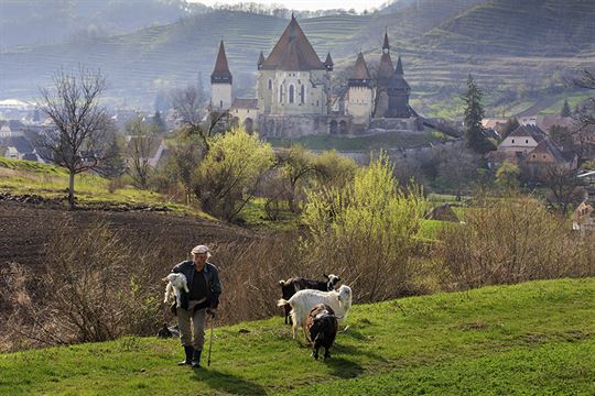 biertan-c-sorin-onisor-26