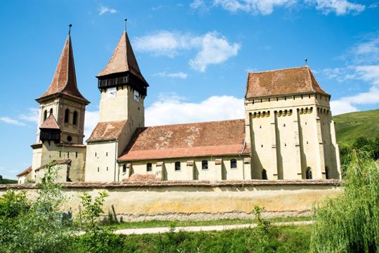 valea-viilor-c-marius-miclea