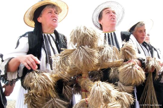 buzduganul-junii-sibiului