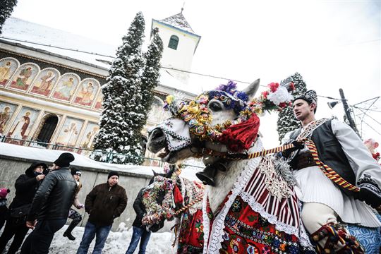 udatul-ionilor-c-sebastian-marcovici