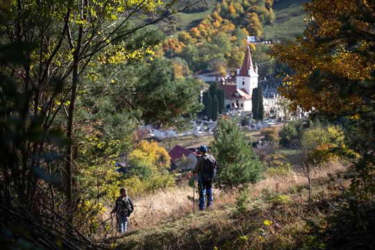 saliste-ajts-ionescu-vlad-2021-vld07435