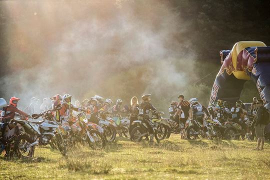 red-bull-predrag-vuckovic