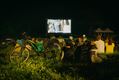 Arini Fest Cinema