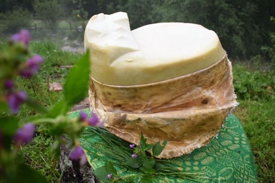 branza-de-burduf