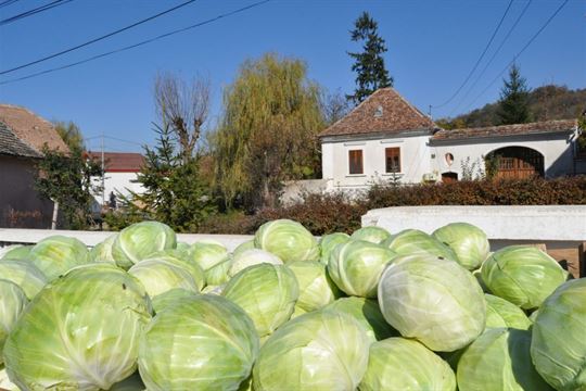 festivalul-terzei-de-la-mosna-2018