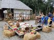 Sărbătoarea recoltei