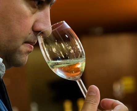 vinfest-c-ovidiu-matiu