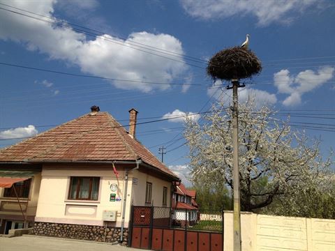 camping-salisteanca-1