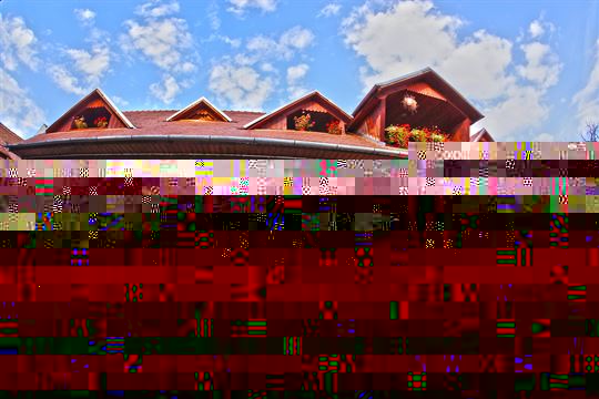 badiu4