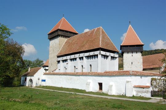 stejarisu bis-fortificata-c-fbf-r