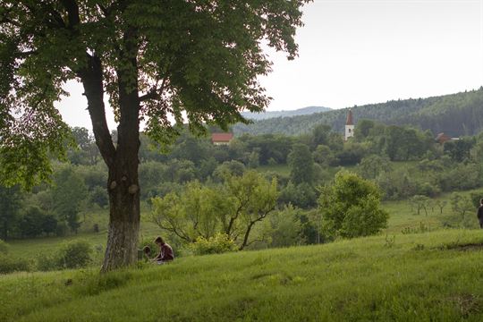 picnic-in-cindrel saliste-c-daniel-secarescu-r