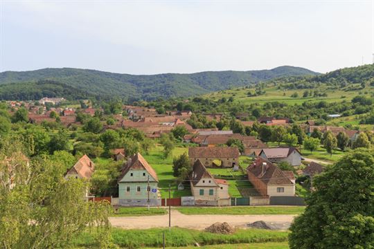 bazna-c-rebeka-bernetic-r