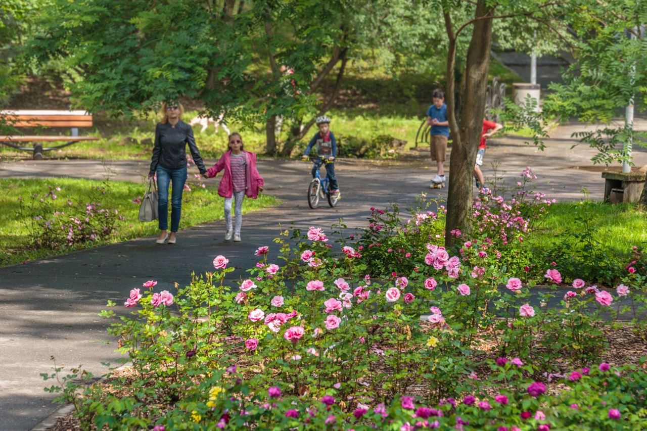 Parcul Sub Arini Site Ul Oficial Al Județului Sibiu