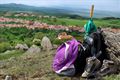 Poiana Sibiului