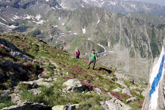 balea transfagarasan-c-marius-miclea-r